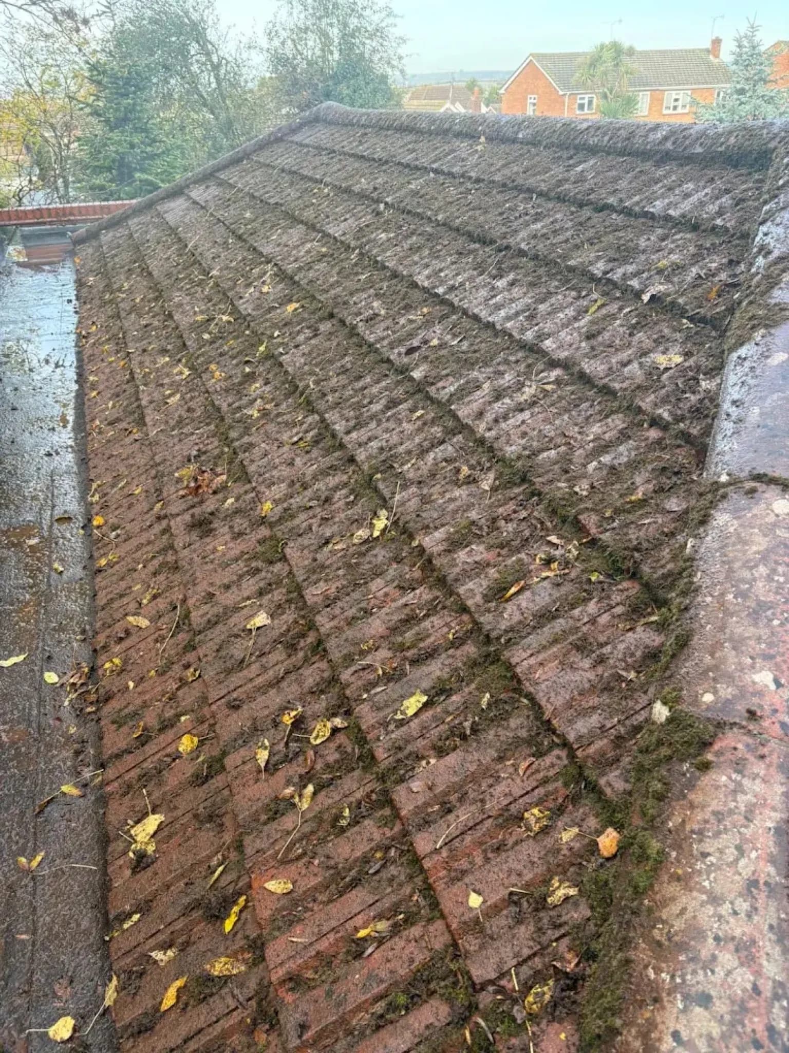 Customer photo from a completed Essex Pressure Washing Co job in Essex