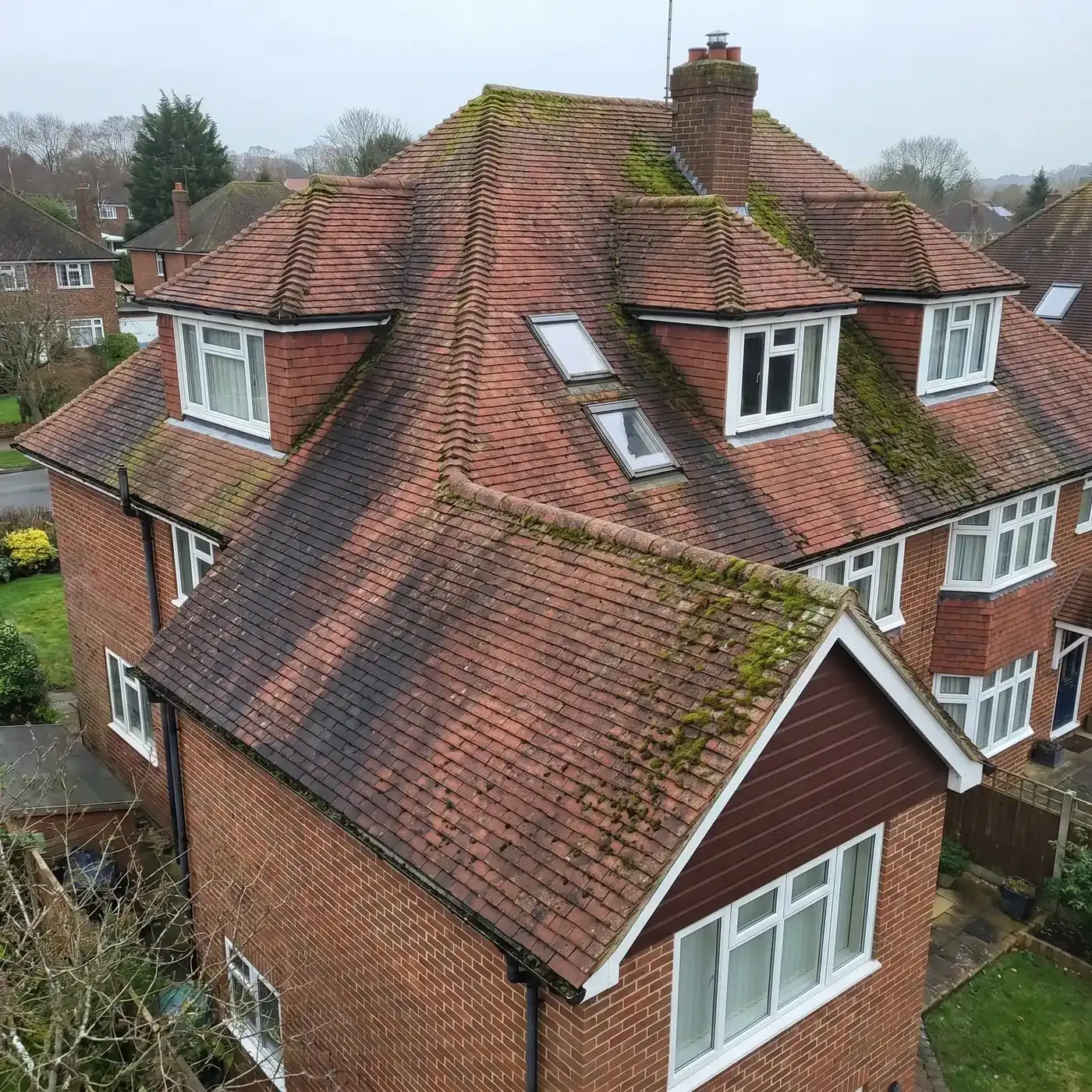Moss-covered roof before professional cleaning — Essex